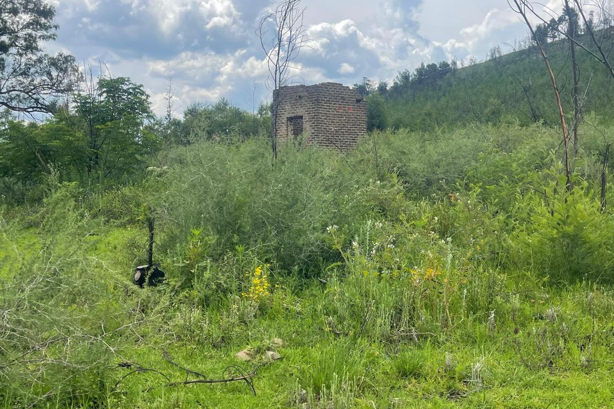 A dilapidated brick structure situated in an overgrown field, showing significant signs of decay and structural loss.