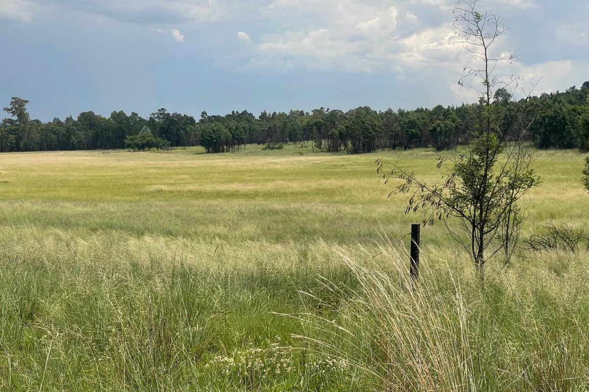 Exceptional 45ha Landmark Property on Randvaal Road – A Visionary Development Opportunity - Photo 3