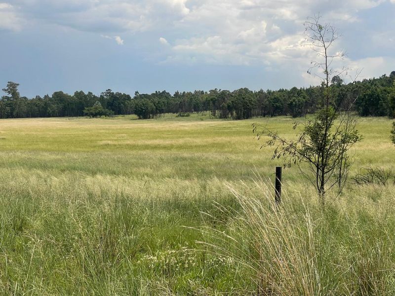 Exceptional 45ha Landmark Property on Randvaal Road – A Visionary Development Opportunity - Photo 3