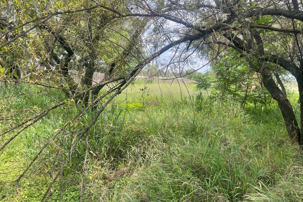Country Living & Farming Potential on 4 Hectares with Structures - Photo 4