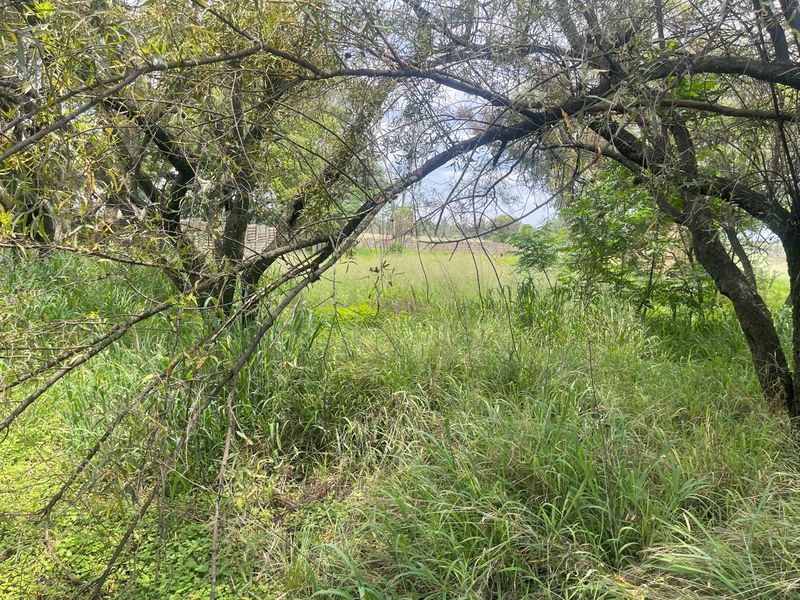 Country Living & Farming Potential on 4 Hectares with Structures - Photo 4