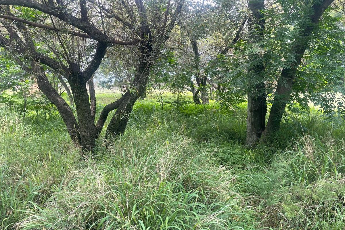 Country Living & Farming Potential on 4 Hectares with Structures - Photo 5