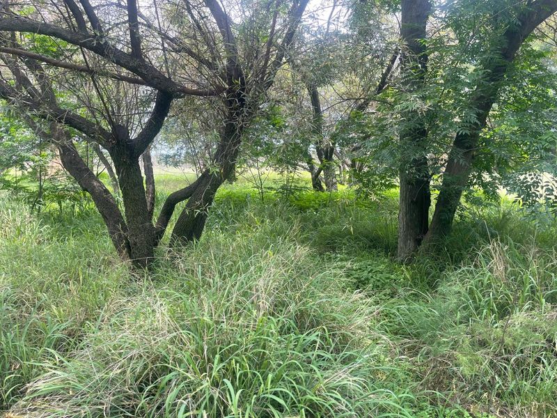 Country Living & Farming Potential on 4 Hectares with Structures - Photo 5