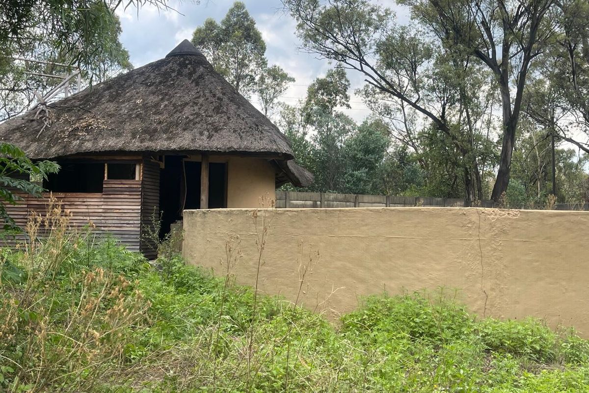 Exterior view of a small holding featuring a thatch-roof structure with timber cladding and a surrounding boundary wall, set within an overgrown garden area.