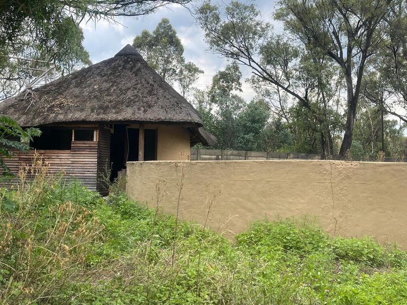 Country Living & Farming Potential on 4 Hectares with Structures - Photo 10