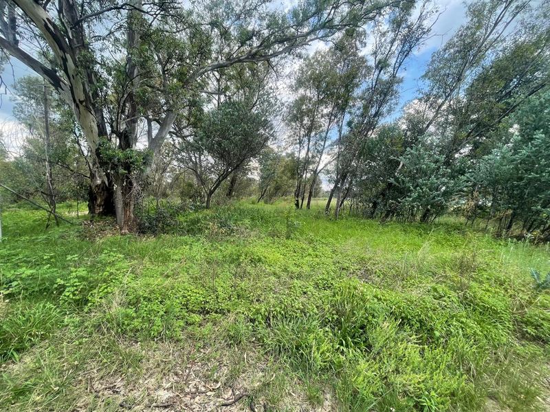 Country Living & Farming Potential on 4 Hectares with Structures - Photo 7