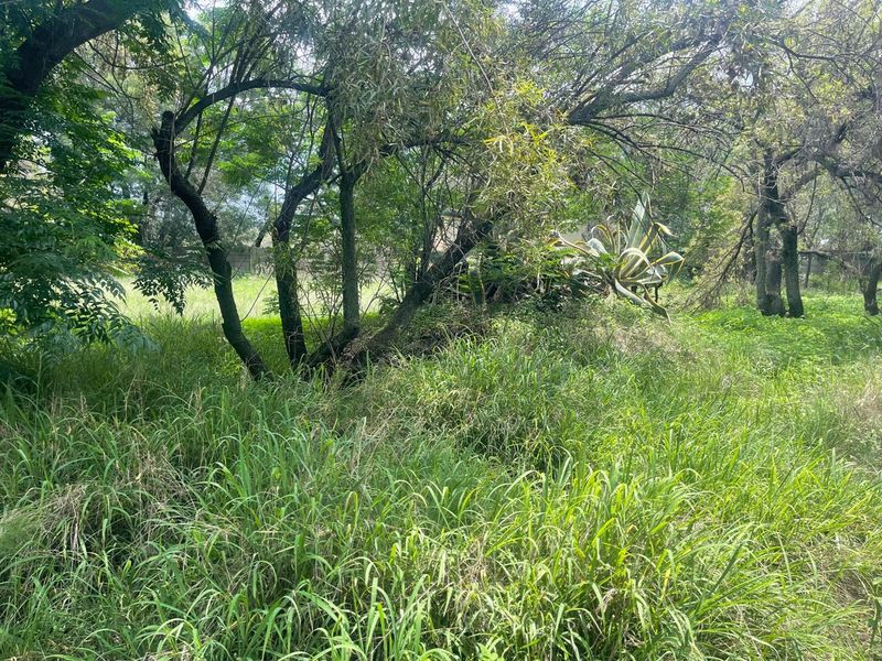 Country Living & Farming Potential on 4 Hectares with Structures - Photo 6