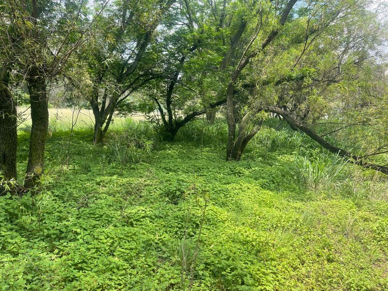 Country Living & Farming Potential on 4 Hectares with Structures - Photo 3