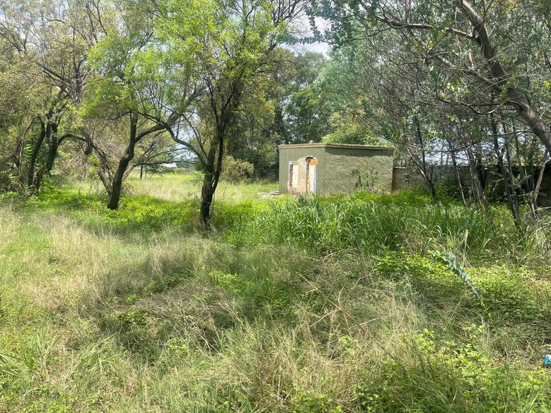 Country Living & Farming Potential on 4 Hectares with Structures - Photo 2