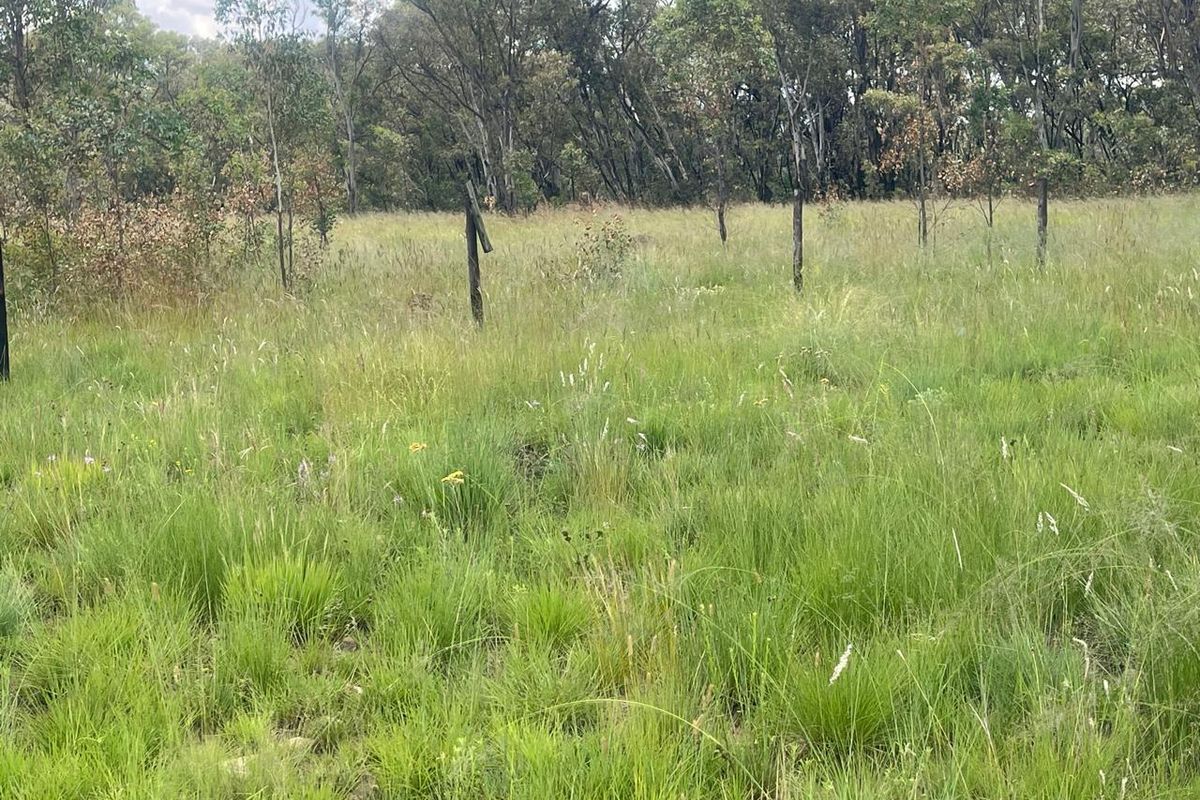 Exceptional 4ha Agricultural Land Ready for Your Vision - Photo 3