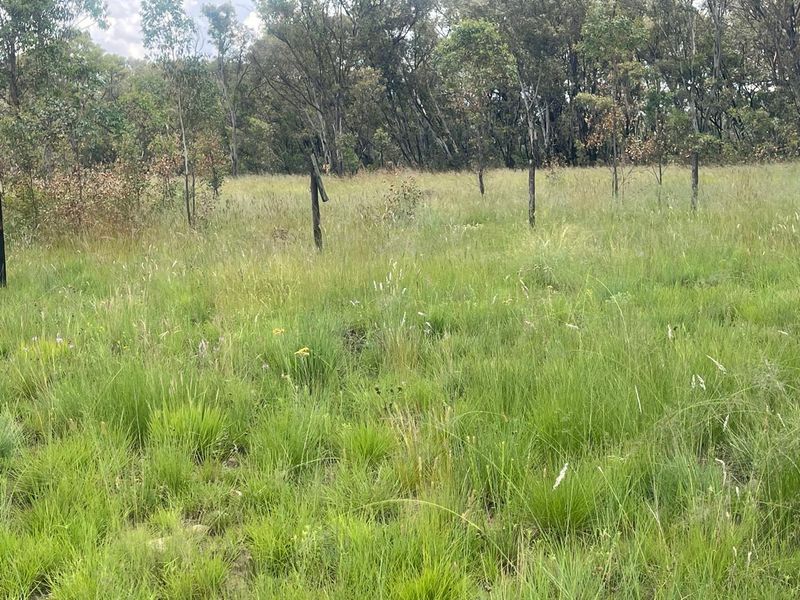 Exceptional 4ha Agricultural Land Ready for Your Vision - Photo 3