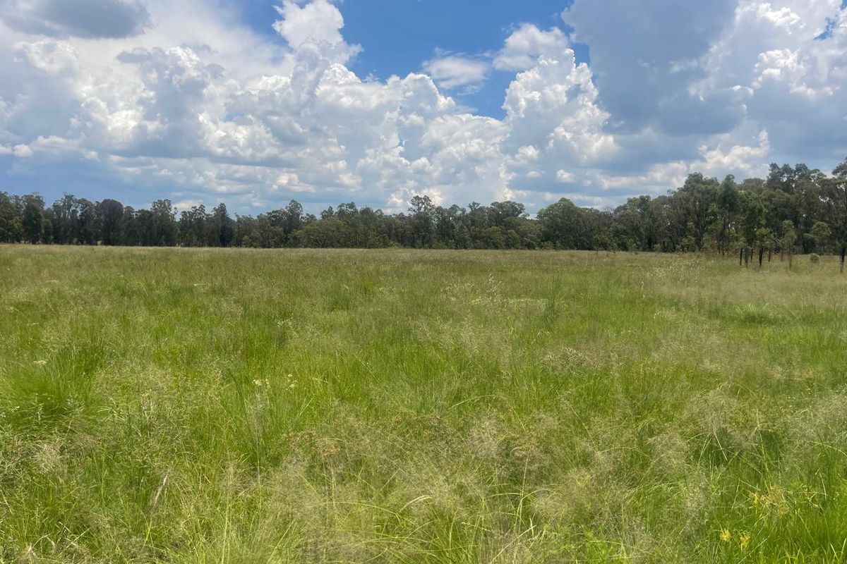 Exceptional 4ha Agricultural Land Ready for Your Vision - Photo 2