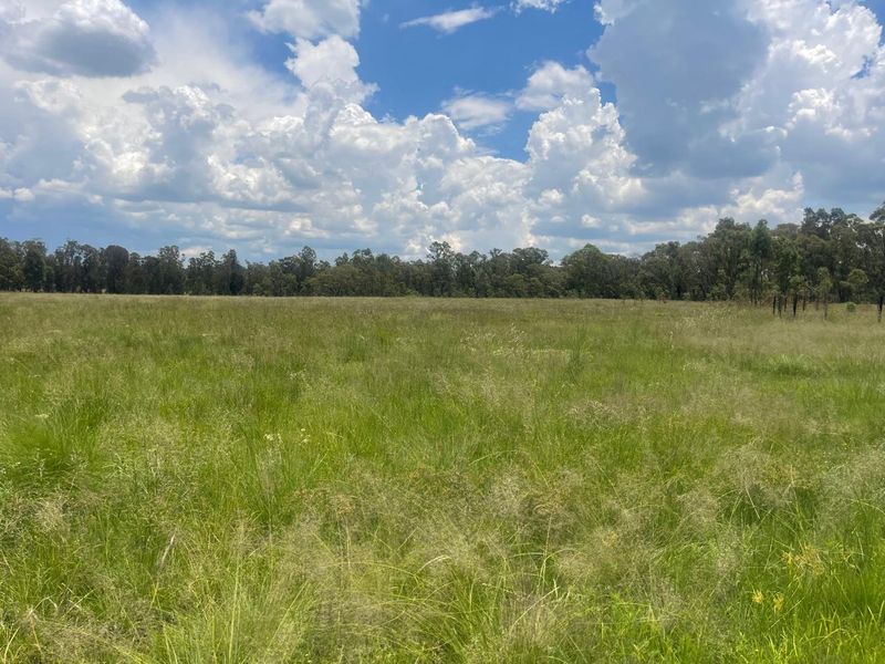 Exceptional 4ha Agricultural Land Ready for Your Vision - Photo 2