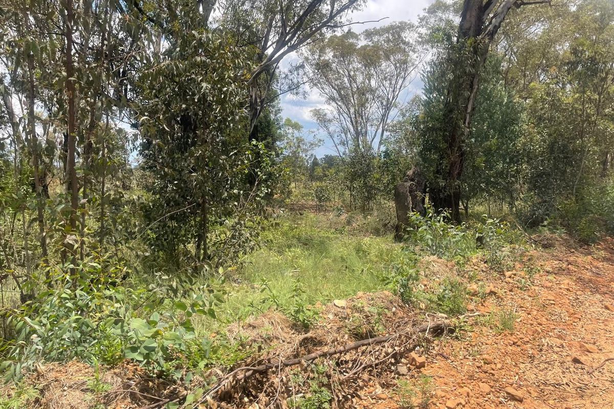 Exceptional 4ha Agricultural Land Ready for Your Vision - Photo 5