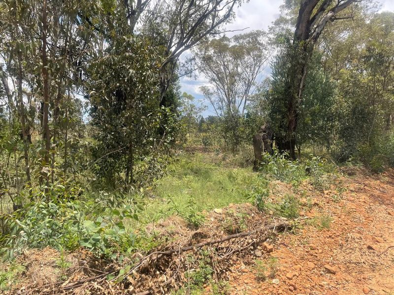 Exceptional 4ha Agricultural Land Ready for Your Vision - Photo 5