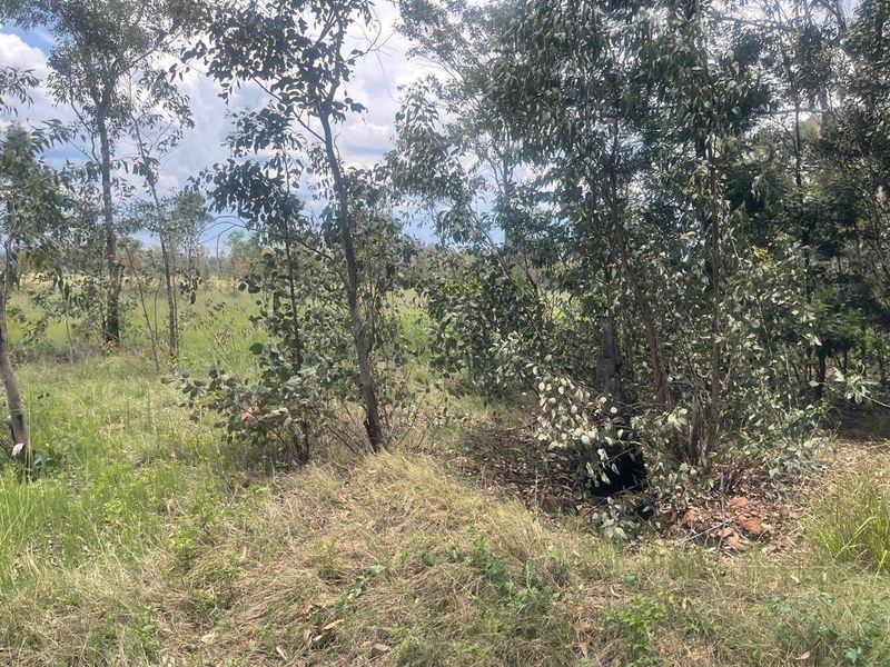 Exceptional 4ha Agricultural Land Ready for Your Vision - Photo 9