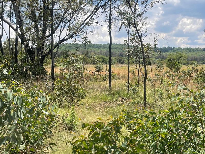 Exceptional 4ha Agricultural Land Ready for Your Vision - Photo 10