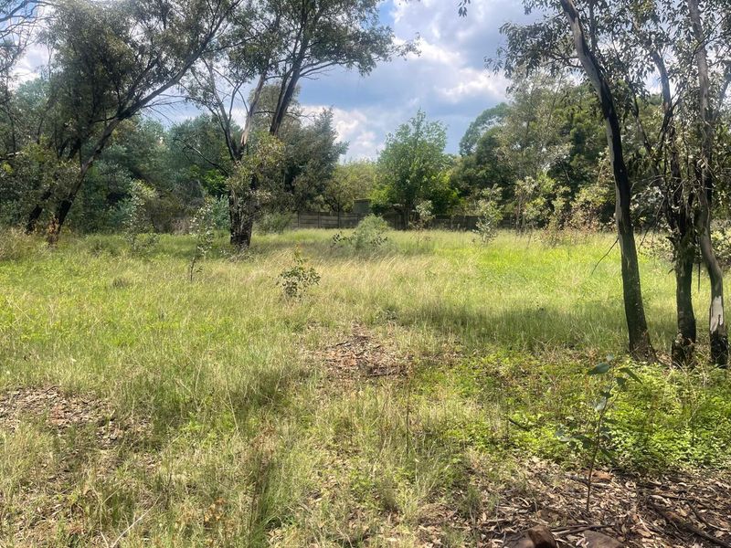 Exceptional 4ha Agricultural Land Ready for Your Vision - Photo 8