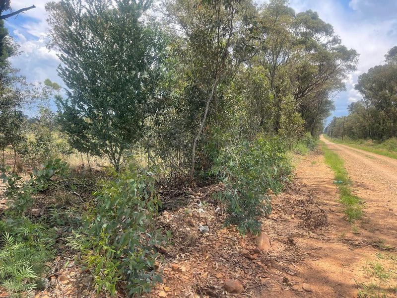 Exceptional 4ha Agricultural Land Ready for Your Vision - Photo 7