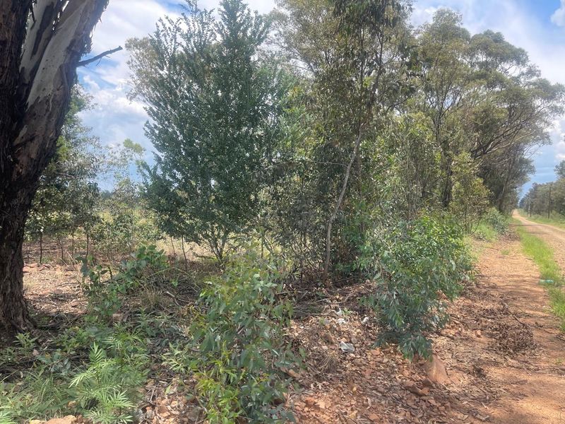 Exceptional 4ha Agricultural Land Ready for Your Vision - Photo 6