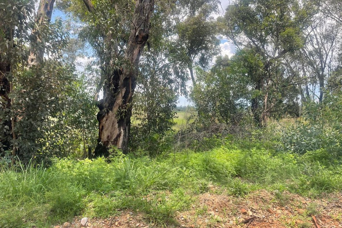 Exceptional 4ha Agricultural Land Ready for Your Vision - Photo 4