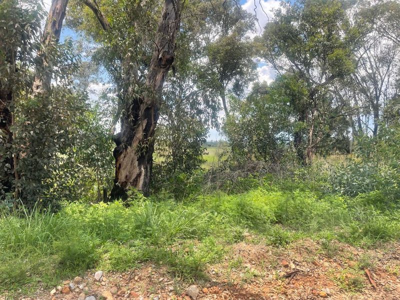 Exceptional 4ha Agricultural Land Ready for Your Vision - Photo 4