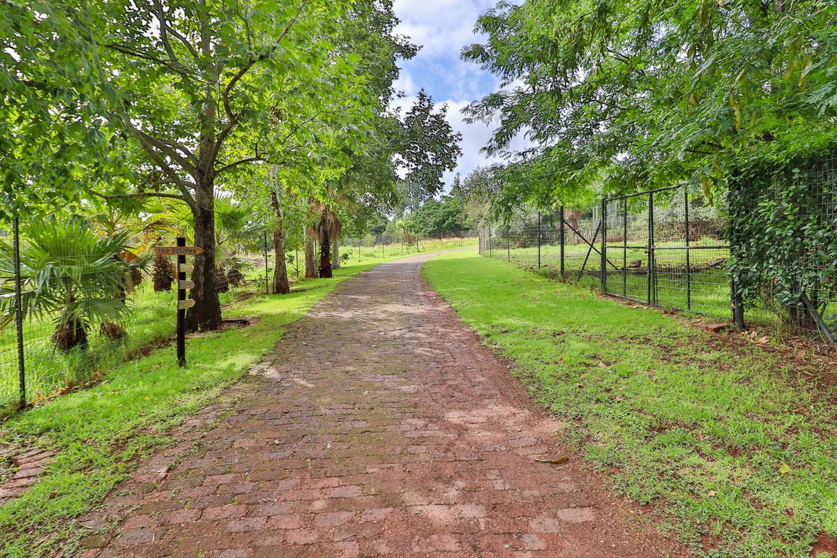 Peaceful Haven: Tranquil Guesthouse Surrounded by Nature, Close to Town - Photo 3