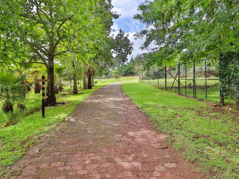 Peaceful Haven: Tranquil Guesthouse Surrounded by Nature, Close to Town - Photo 3