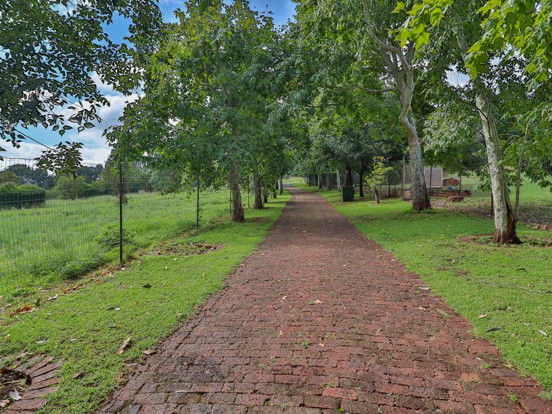 Peaceful Haven: Tranquil Guesthouse Surrounded by Nature, Close to Town - Photo 4