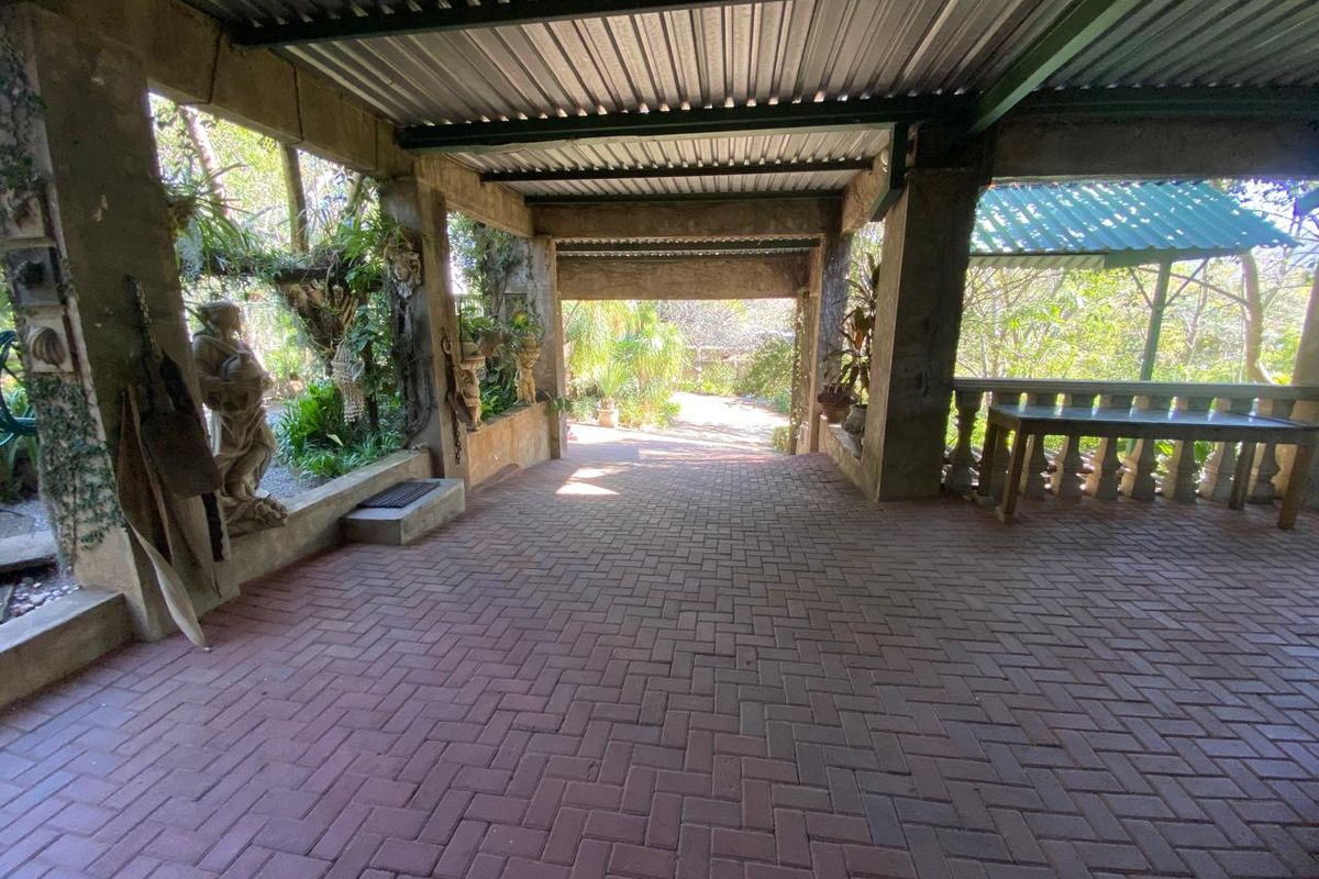 Exceptional 4,5 ha Lifestyle Smallholding - Income- Generating Opportunity - Photo 3