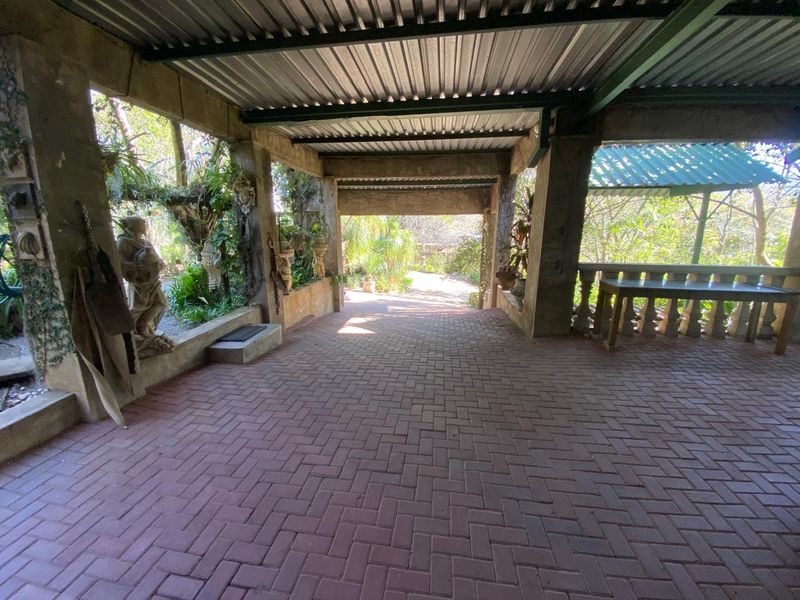Exceptional 4,5 ha Lifestyle Smallholding - Income- Generating Opportunity - Photo 3