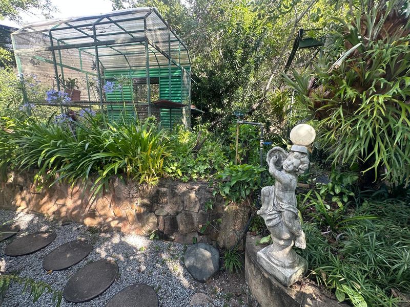 Exceptional 4,5 ha Lifestyle Smallholding - Income- Generating Opportunity - Photo 9