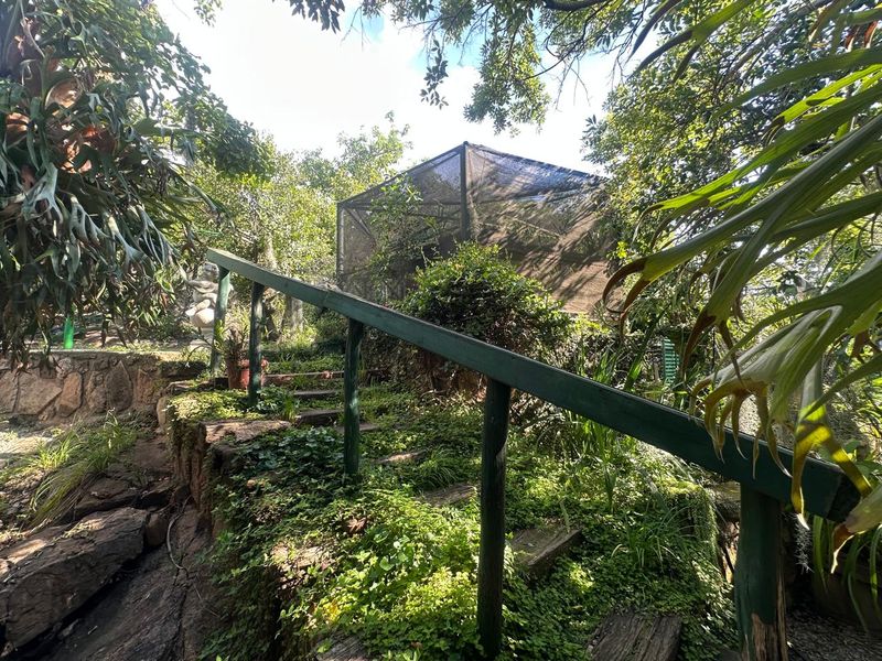 Exceptional 4,5 ha Lifestyle Smallholding - Income- Generating Opportunity - Photo 10