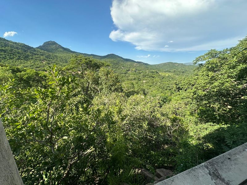 Exceptional 4,5 ha Lifestyle Smallholding - Income- Generating Opportunity - Photo 8