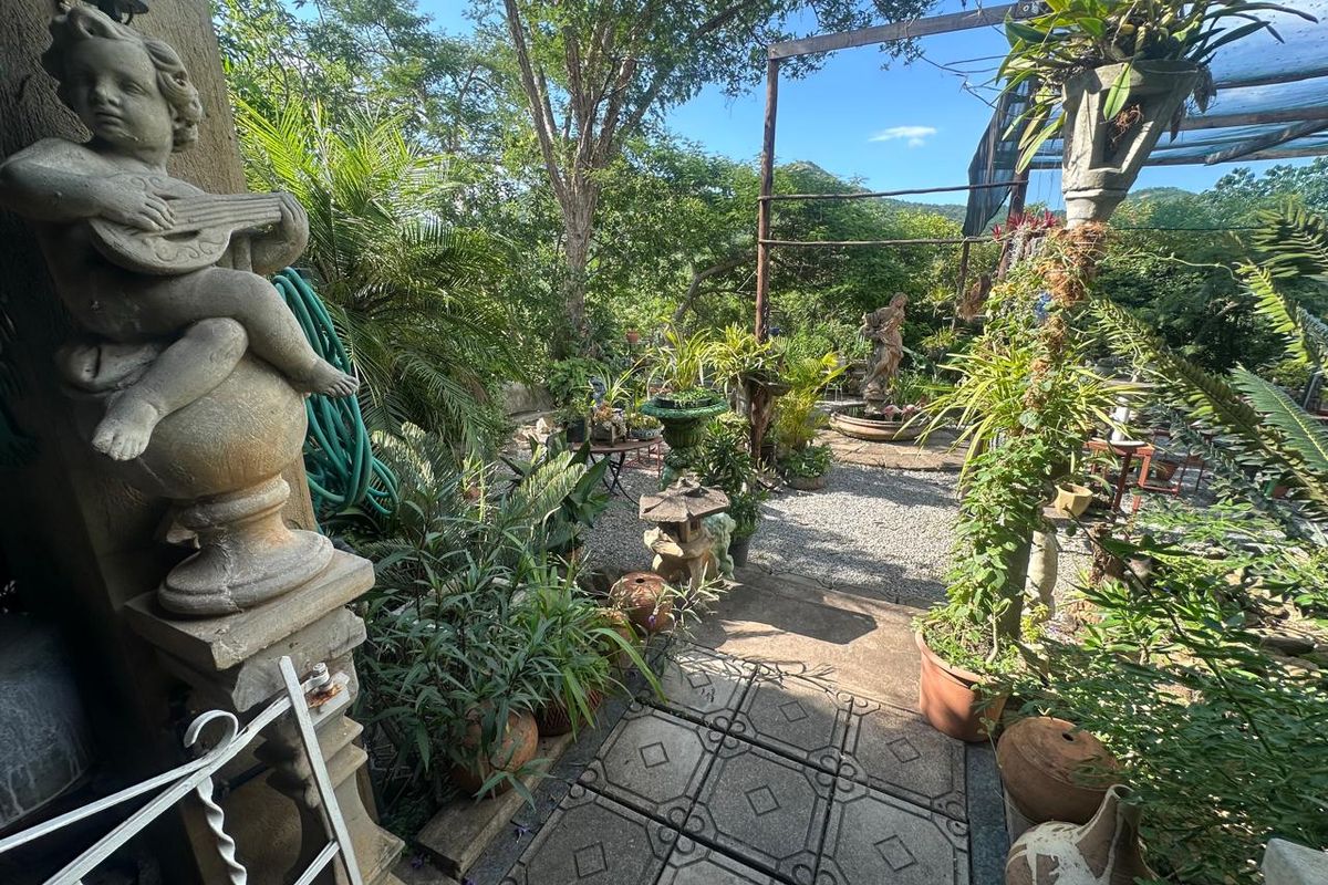 Exceptional 4,5 ha Lifestyle Smallholding - Income- Generating Opportunity - Photo 4