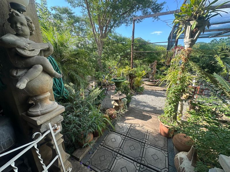 Exceptional 4,5 ha Lifestyle Smallholding - Income- Generating Opportunity - Photo 4