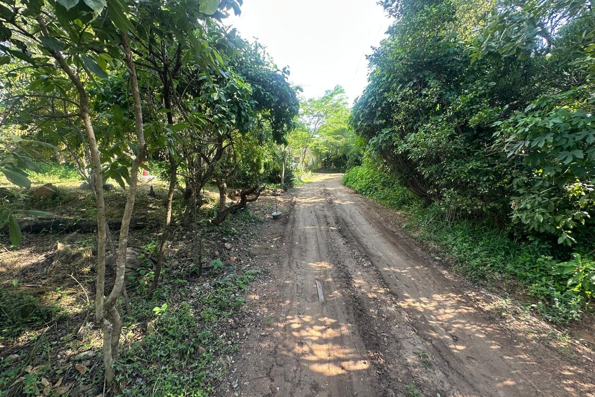 Exceptional 4,5 ha Lifestyle Smallholding - Income- Generating Opportunity - Photo 2