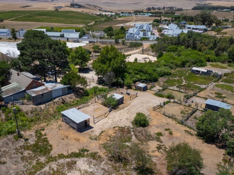 Unique small holding, horses, small farmer, road visibility, privacy - Photo 5
