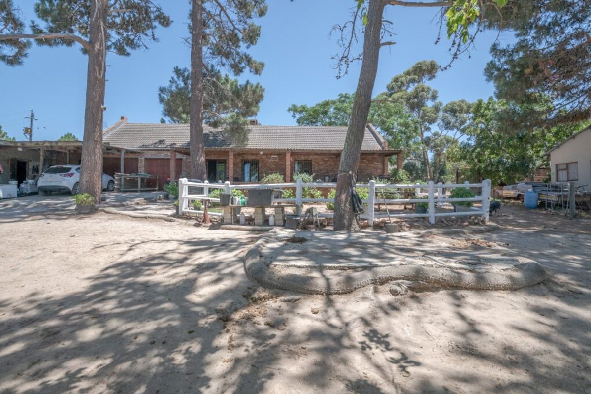 Unique small holding, horses, small farmer, road visibility, privacy - Photo 2