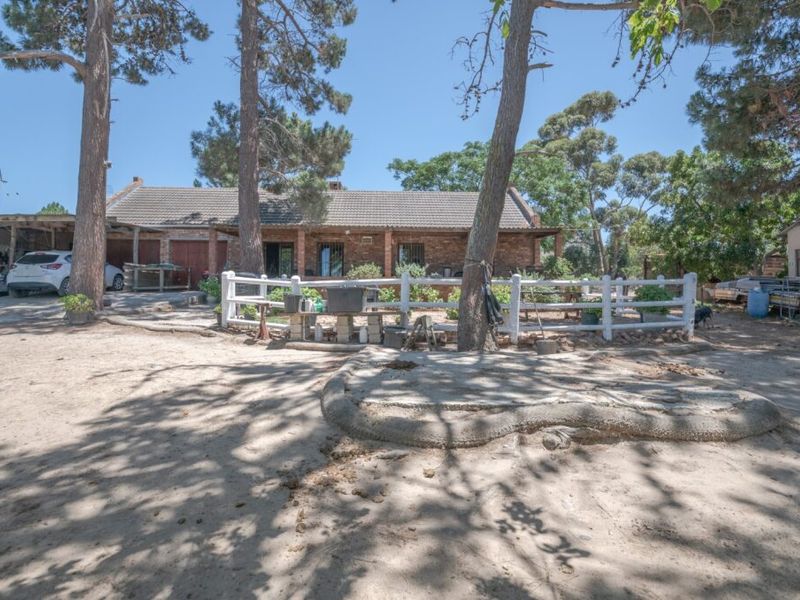Unique small holding, horses, small farmer, road visibility, privacy - Photo 2
