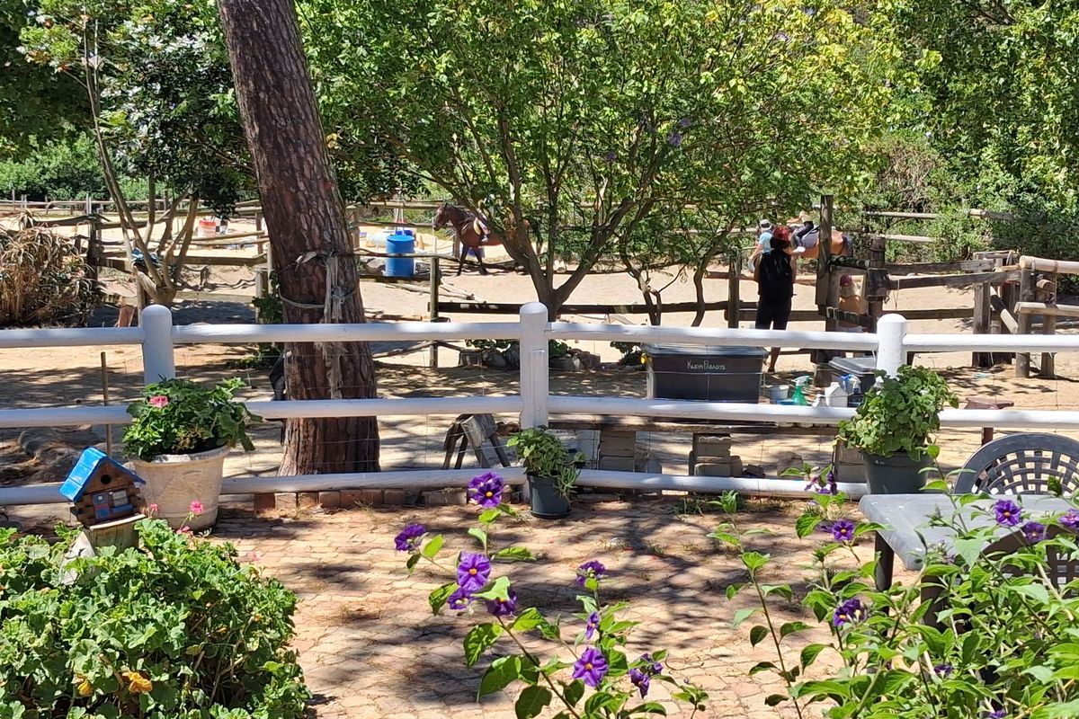 Unique small holding, horses, small farmer, road visibility, privacy - Photo 4