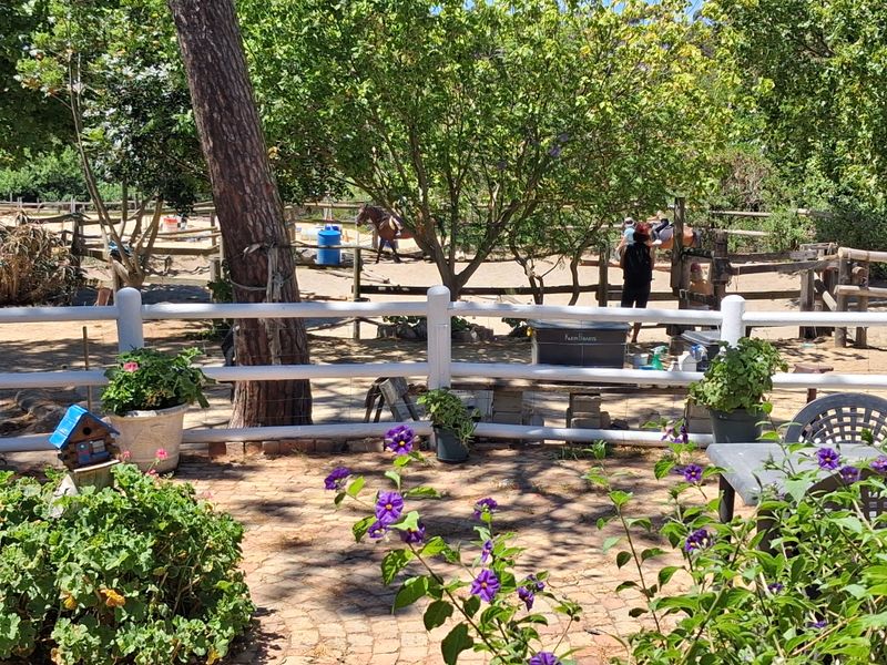 Unique small holding, horses, small farmer, road visibility, privacy - Photo 4