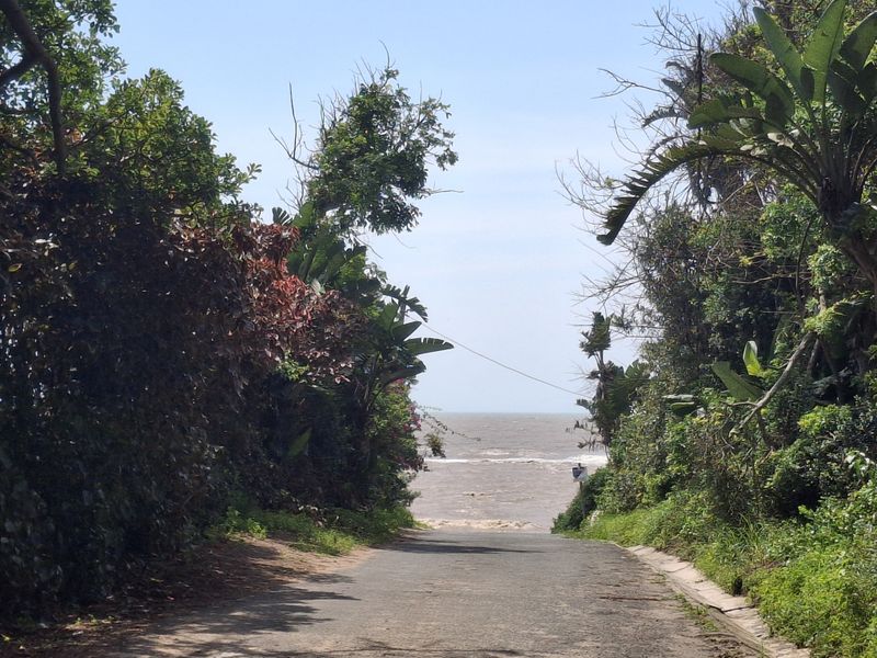 A view looking down a paved road towards the ocean, framed by lush coastal vegetation.