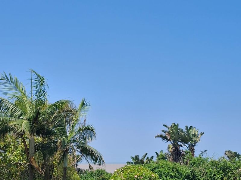 A scenic view of lush coastal vegetation and mature trees under a clear blue sky, showcasing the natural landscape of the vacant residential property.