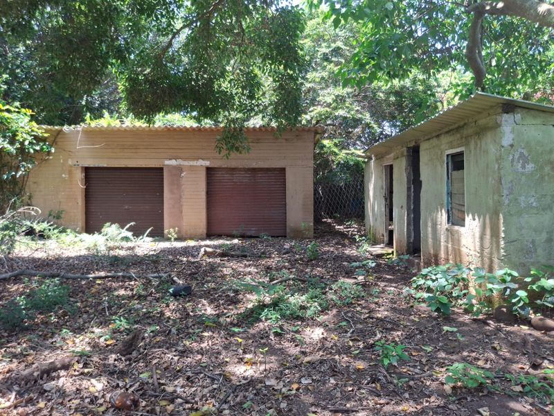 A view of a dilapidated detached garage structure with roller shutter doors, situated on a heavily overgrown residential plot.