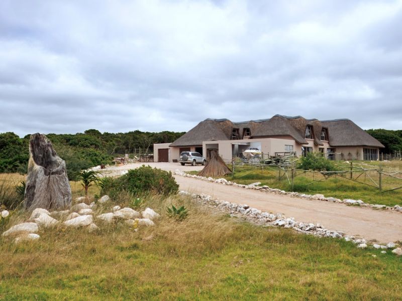 Wild Elegance by the Sea – Your Private Coastal Sanctuary - Photo 3