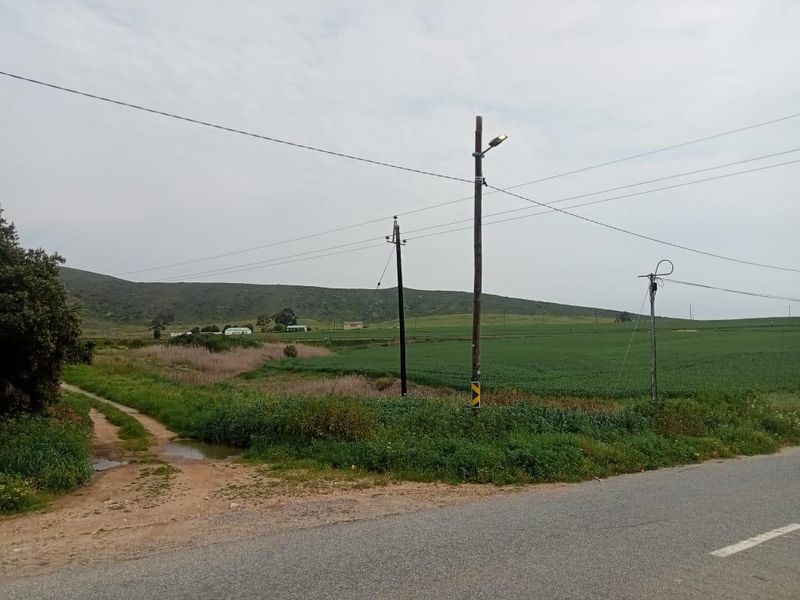 A view of the vacant residential land from the adjacent road, featuring open green fields, natural vegetation, and existing utility poles.