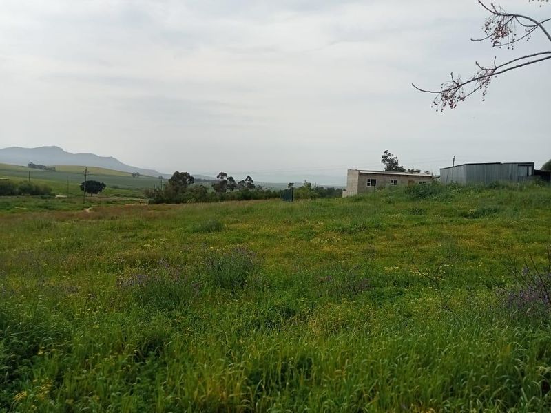 A view of a vacant residential plot featuring natural grassland, distant mountain scenery, and existing small outbuildings on the property.