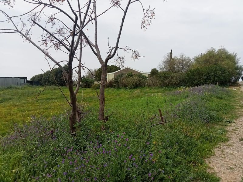 A view of a vacant residential plot featuring natural vegetation, mature trees, and a gravel path, with neighboring structures visible in the background.