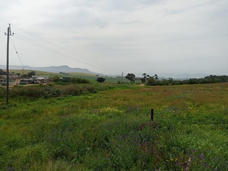 A view of a vacant residential plot featuring natural vegetation, open landscape, and distant mountain views with overhead power lines.